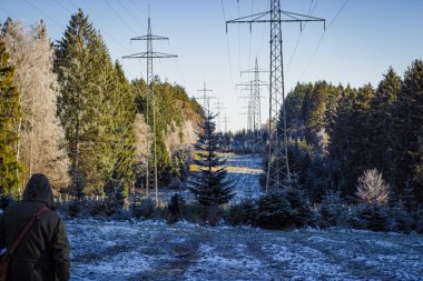 Weihnachtsbäume unter der Hochspannungsleitung im Buhlert